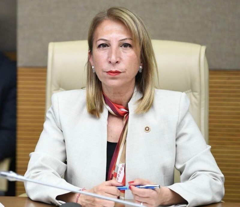 CHP’li Derici: Muğla’nın Çevre Mücadelesi Üst Mahkemelerce Yok Sayılıyor