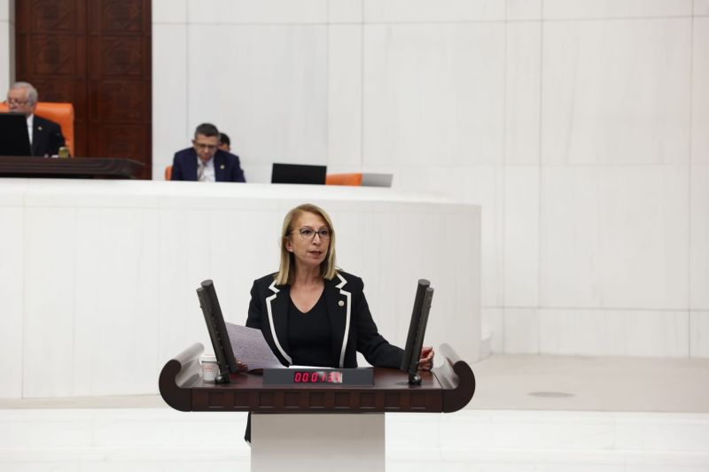 CHP Öneş Derici: TBMM Milastaki Kamuşlaştırma Kararının Bölgede Yaratacağı Sonuçları Araştırmalıdır!