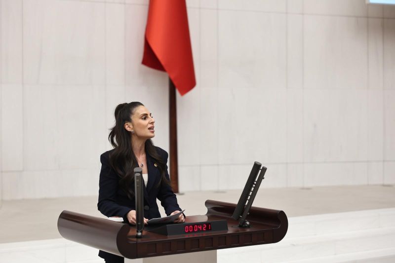 Gizem Özcan 4.455 Hektarlık Maden İhalesini Meclis’e Taşıdı