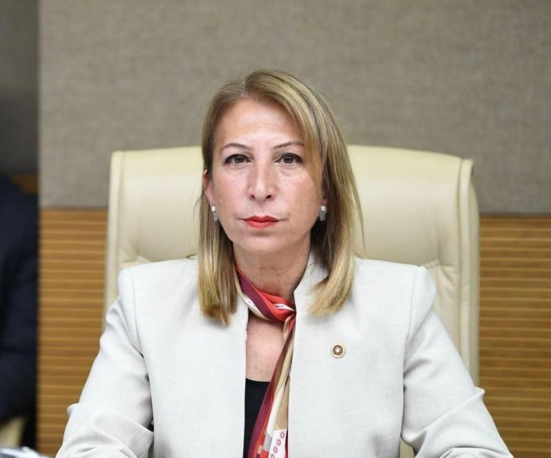 Bayrağa Yönelik Saldırı Meclise Taşındı..