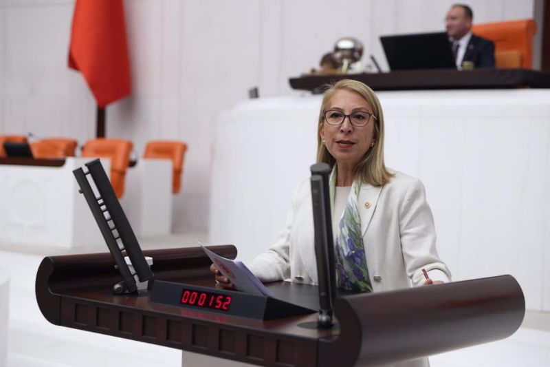 CCHP’li Öneş Derici, Sel Mağduru Üreticiler için Verdiği Önerge ile Bakanlığı Göreve Çağırdı