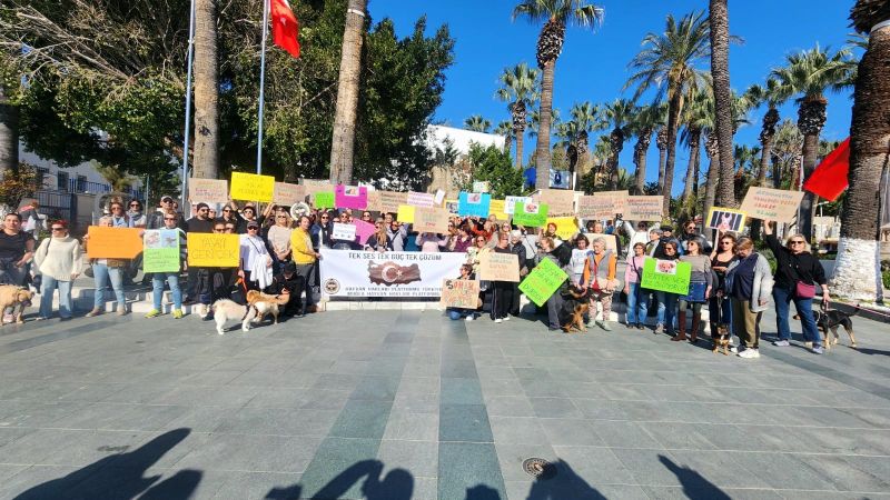 Sokak Hayvanları İçin Tarihi Buluşma