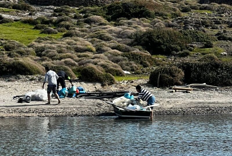 Tilkişen Toplamaya Gittiler, Koyu Temizlediler