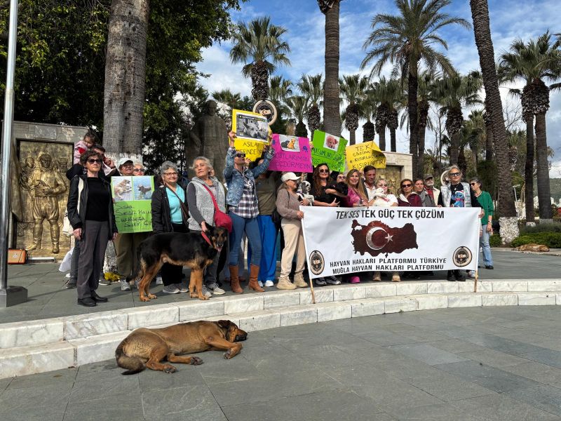 Ülke Genelinde Can Dostları İçin Eylem Yaptılar