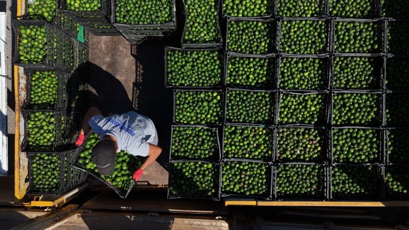 Mandalin Üreticisine 5 Milyon Kazanç