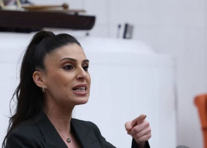 Muğla Milletvekili Gizem Özcan, Akçay Dere Islahı Endişelerini TBMM Gündemine Taşıdı