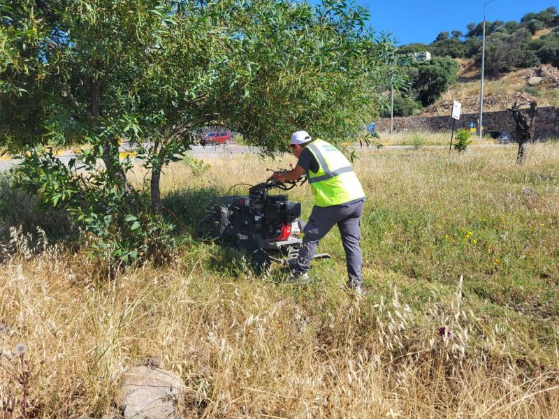 Bodrum’da Ot Temizliği Çalışmaları Tüm Hızıyla Devam Ediyor