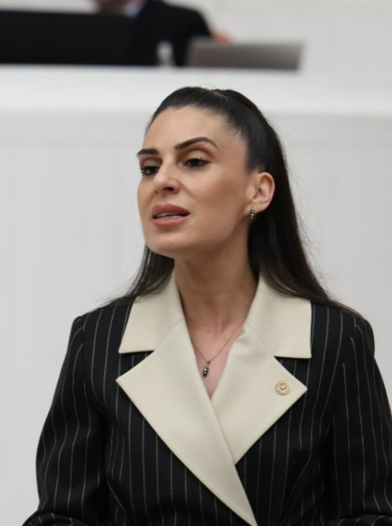 Muğla Milletvekili Gizem Özcan Orman Yangınlarına Karşı Uyarıda Bulundu