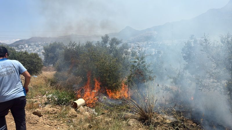 Makilik Alandaki Yangın Kısa Sürede Söndürüldü