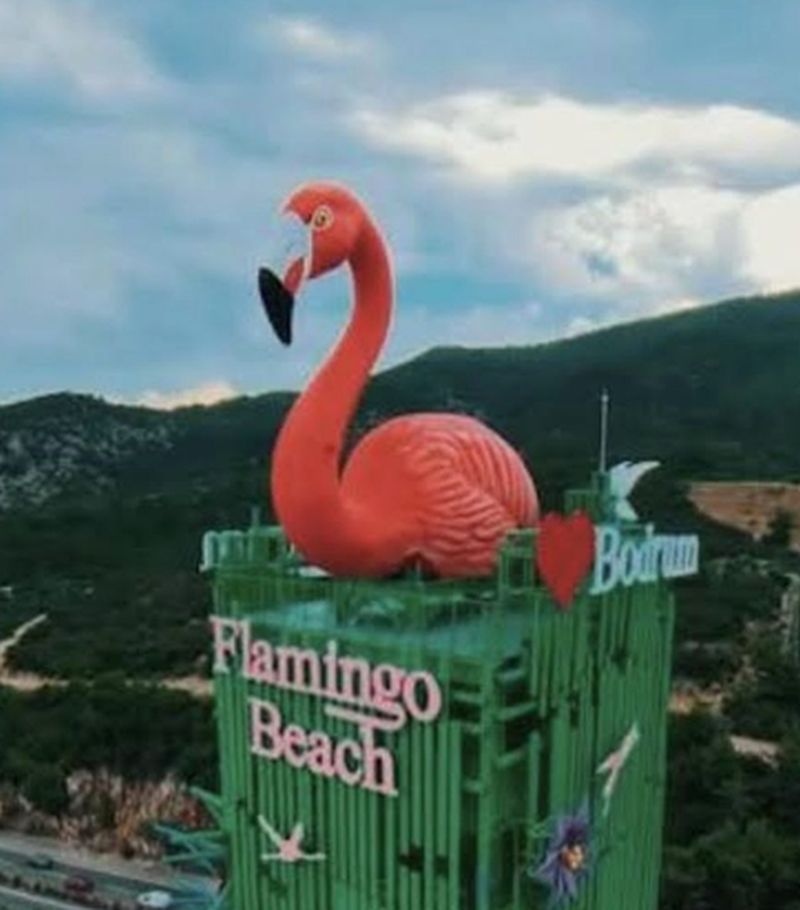Bodrum Kent Konseyinden Kamuoyu Açıklaması