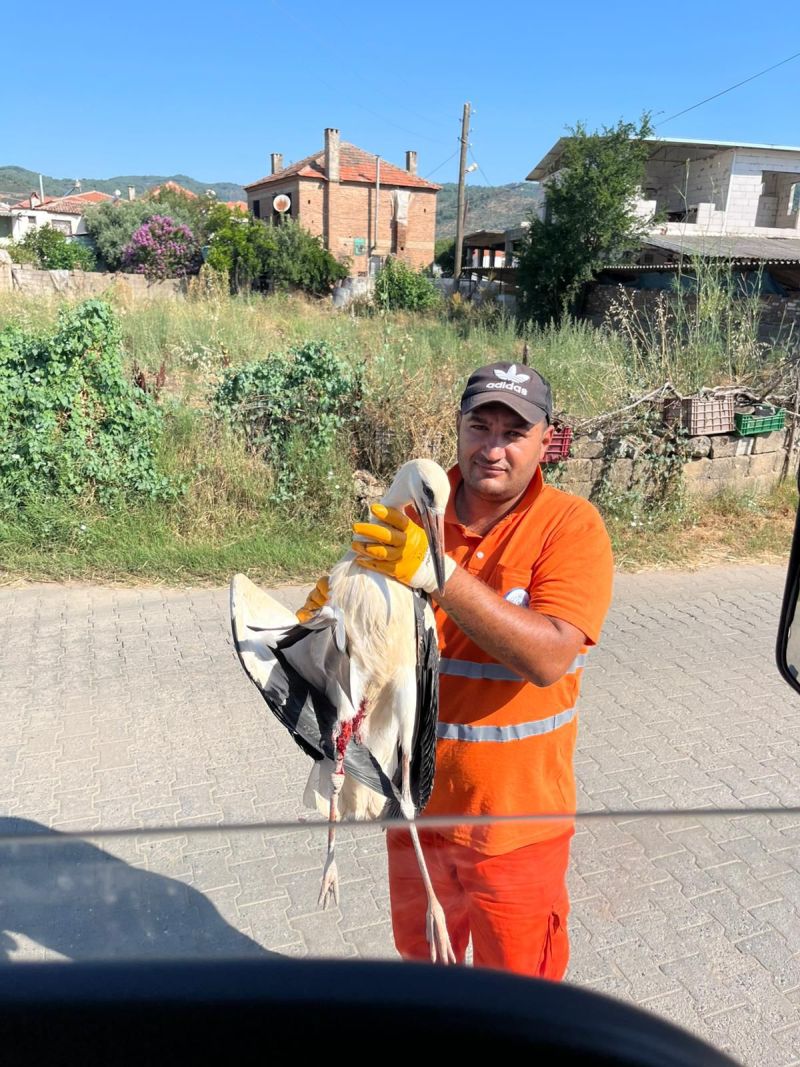 Belediye İşçisi Görevi Sırasında Bulduğu Yaralı Leyleğin İmdadına Yetişti