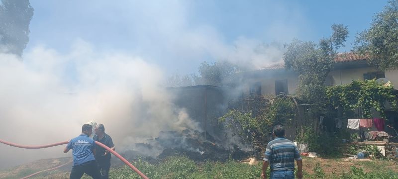 Samanlık Alanda Yangın Çıktı