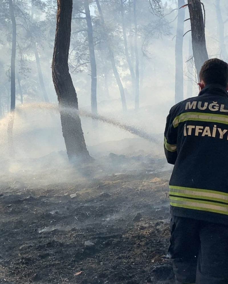 Muğla Genelinde Çıkan Yangınlara Müdahaleler Devam Ediyor
