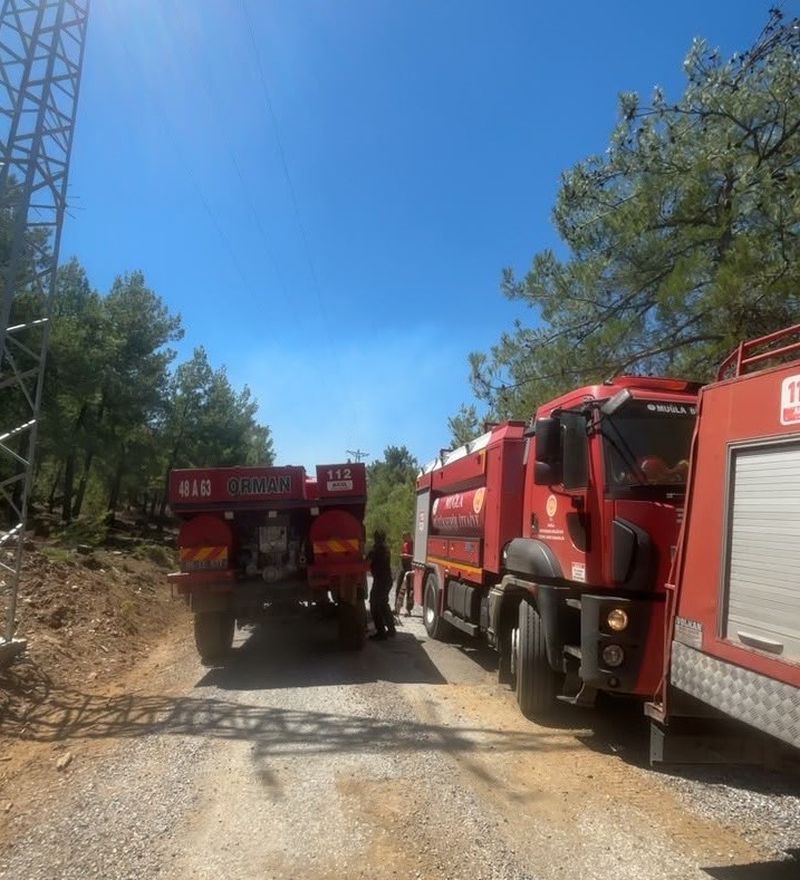 Milas’ta Çıkan Yangın Kısa Sürede Kontrol Altına Alındı