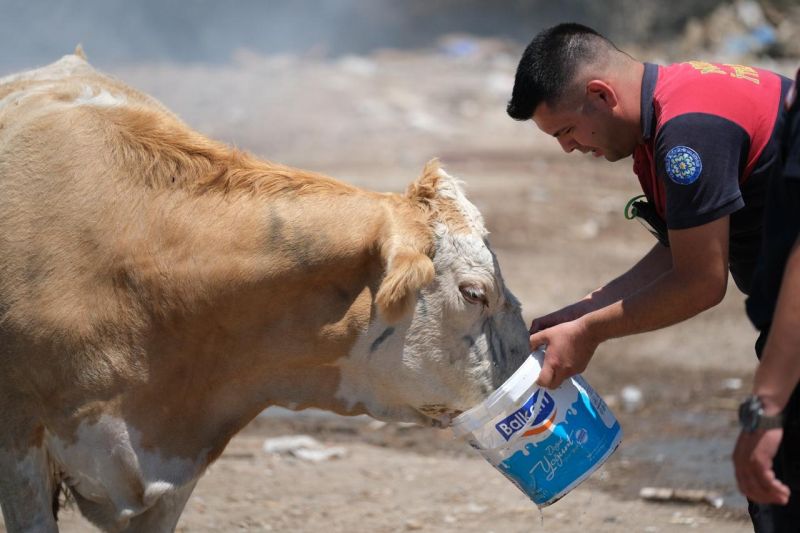 Yangın Sahasında Yürek Isıtan An