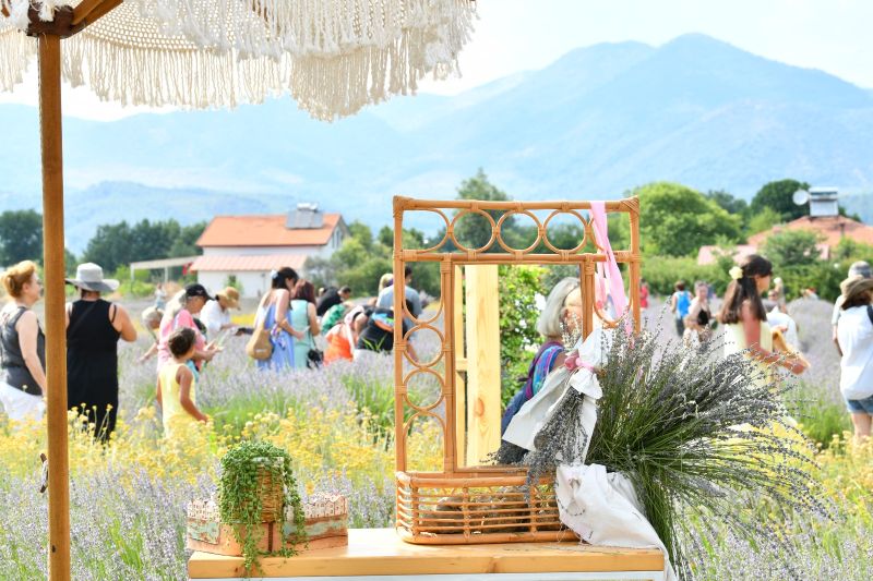 Fethiye Belediyesi’nden Lavanta Bahçesinde Hasat Etkinliği
