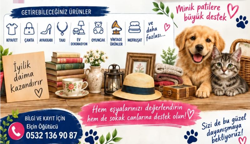 Boğaziçi’nde Sokak Canları İçin Etkinlikler Düzenleniyor…