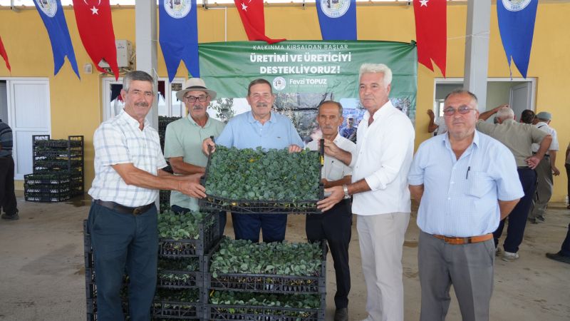 Milas Belediyesi Kışlık Sebze Fidelerini Üreticilerle Buluşturdu