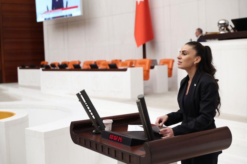 YENİ Parti Genel Başkan Yardımcısı Gizem Özcan fon krizi üzerine konuştu